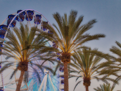 Things To Do https://terraverderesort.icnd-cdn.com/images/thingstodo/Untitled design (17).png